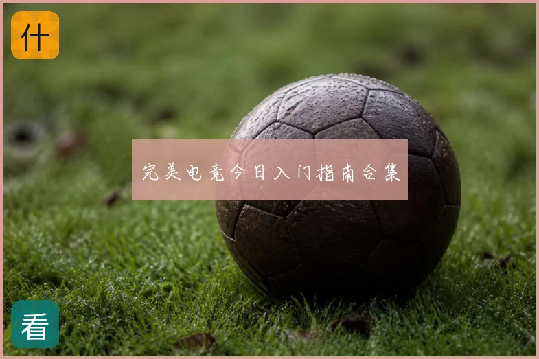 完美电竞今日入门指南合集